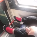 한꽃유치원 이미지