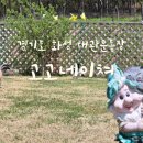 고고네이쳐