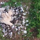 무주읍250 이미지