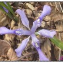 산유화농장 이미지