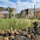 메종드제주 이미지