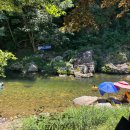 우리빌리지 | 평창 봉평, 흥정계곡 당일 평상대여 '우리빌리지' 후기