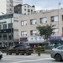 아람청과