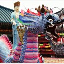 황룡 이미지
