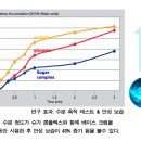 피부관리실토마토