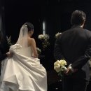 빅러브 | Wedding DAY _ 빅러브 아이폰 스냅 후기