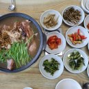 신토불이옻닭 이미지