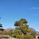 배산농원 이미지