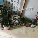 중구청 메리놀병원 이미지