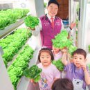 스마트팜 이미지