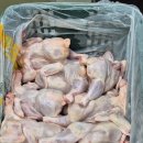 닭&주 | 용인 닭납품, 믿고 맡기는 곳 (주)현정 몇 달 써보니 왜 유명한지 알겠다