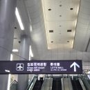 온누리카서비스 | 고등어회 먹으러 제주도로 당일치기 여행 떠난 자매의 일기