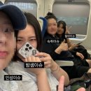 솔로아트 네이버블로그