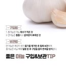 강력한 항생 물질 '마늘의 효능' 이미지