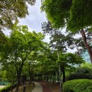 중앙공원 5지구 | <인천시청역 공원> 남동구 간석동 '중앙공원 조각원지구'
