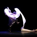 한국현대춤협회 이미지