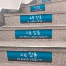 백석제일약국 이미지