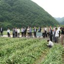 신덕축산 이미지