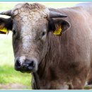 동우바이오(주) 이미지