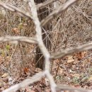 명호농장 이미지