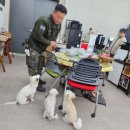 삼육상사