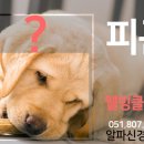 알파신경외과의원 이미지