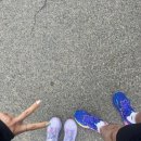 하천(갑천5) | 갑천 러닝후기