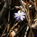 구담마을 이미지