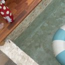 꽃피는 무릉도원 이미지