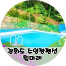 다소니펜션 | 강화도 펜션 힐마레펜션 A동 3호 다소니 수영장 바베큐 후기