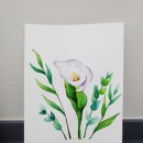 [백석]수채화&보타니컬 이미지