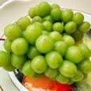 양감농장 이미지