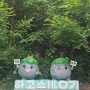 항골 | 7월 계곡물놀이 정선 항골계곡 숨바우길 트레킹 제2용소까지 걸어본 여름 계곡 힐링 코스