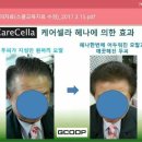 천연헤나 이미지