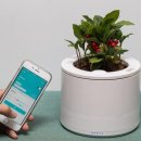 상금농장 이미지