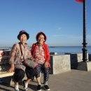 금식농장 이미지