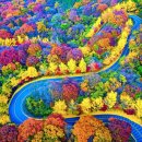 적상산로 Daum카페