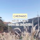 수수다올 이미지