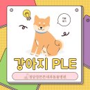 활기찬동물병원 | 강아지 PLE 치료 후기 – 청담 장튼튼내과동물병원