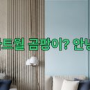 대신환경 | 곰팡이, 결로 OUT! 거실 아트월 벽지 대신 친환경 페인트 &amp; 루버 시공 후기