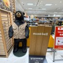 옴감 | 2026년 오사카 쇼핑 후기(캐리어 두개 가득채워 옴)