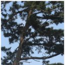 감귤향기힐링파크 이미지