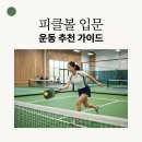 덕정탁구전용구장 | 피클볼 입문 가이드: 규칙부터 장비, 추천 구장까지 완벽 정리