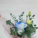 은성조경