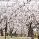 동해 구상수시설 이미지