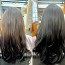 스타일카케어 서초 직영점 | 강남 미용실 Chop 헤어 신논현직영점 하민 디자이너 블랙 염색 후기