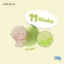 임신 11~14주차 / 소식 알리기, 임부복(?) 구매, 안정기 진입