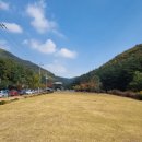 수리산도립공원임시주차장 이미지