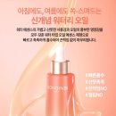정관장 & 동인비 소담본점