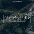 크로디